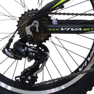 دوچرخه VIVA مدل SENATOR سایز 20 با طراحی جذاب و کیفیت بالا
