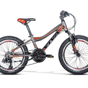 دوچرخه VIVA SPINNER سایز 20 با طراحی زیبا و کیفیت بالا