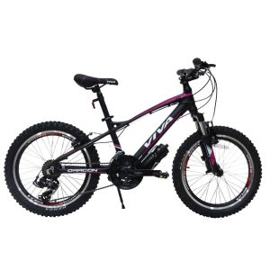 دوچرخه VIVA مدل DRAGON سایز 20