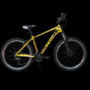 دوچرخه VIVA مدل IGUANA سایز 29